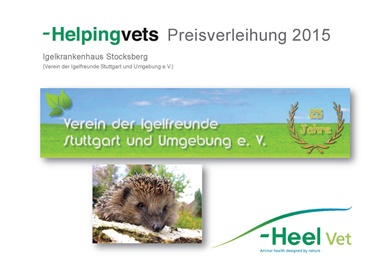 heel-helpingvets-2016