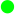 Punkt grün