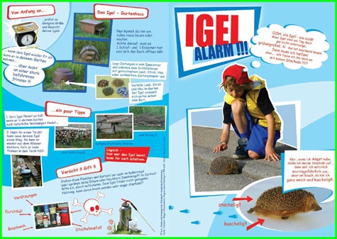 Igel-Alarm 1